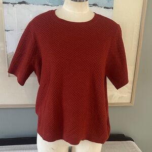 Elegant Short Sleeve Knit Top in Deep Red